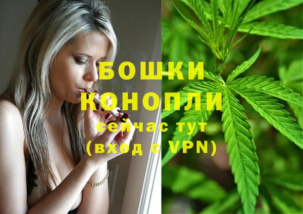 мяу мяу мука Вязьма
