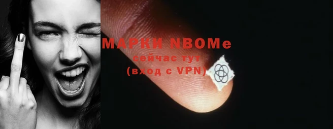 мяу мяу мука Вязьма