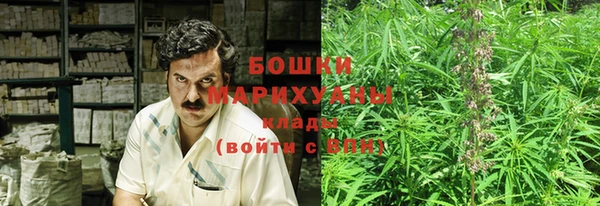 молекула духа Вязники