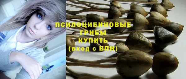 герыч Вяземский