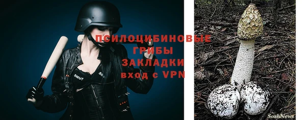 мяу мяу мука Вязьма