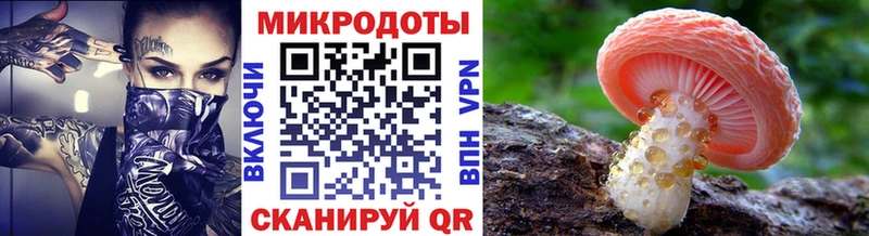 Псилоцибиновые грибы MAGIC MUSHROOMS  Купить закладки  Серов 